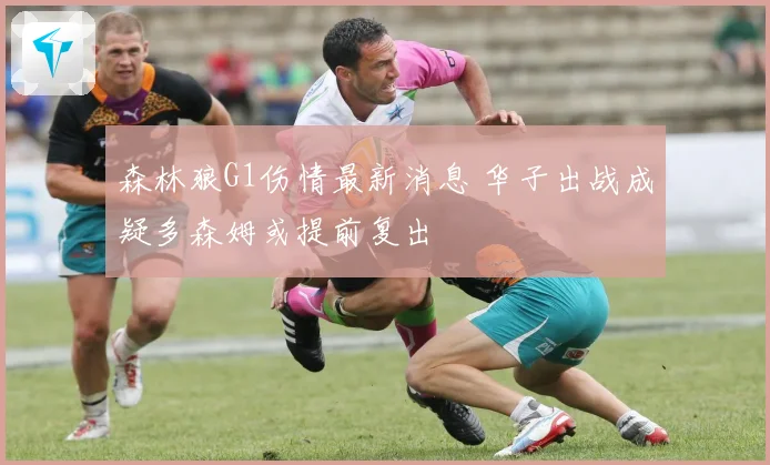 森林狼G1伤情最新消息 华子出战成疑多森姆或提前复出