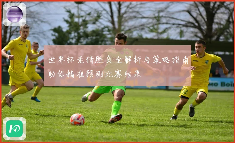 世界杯竞猜胜负全解析与策略指南助你精准预测比赛结果
